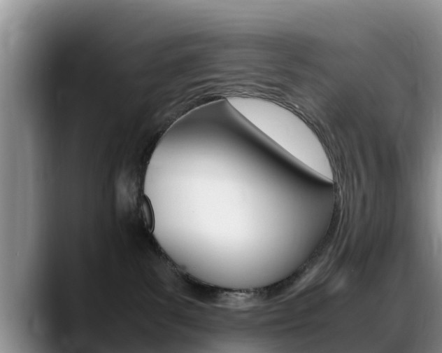 X0000089430139200706151029