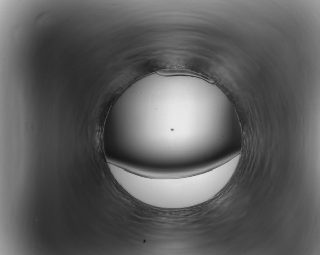 X0000089430141200706151029
