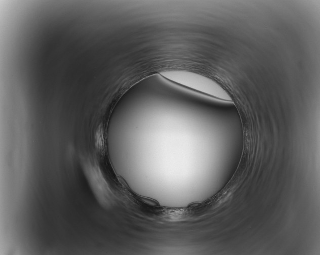 X0000089430143200706151029