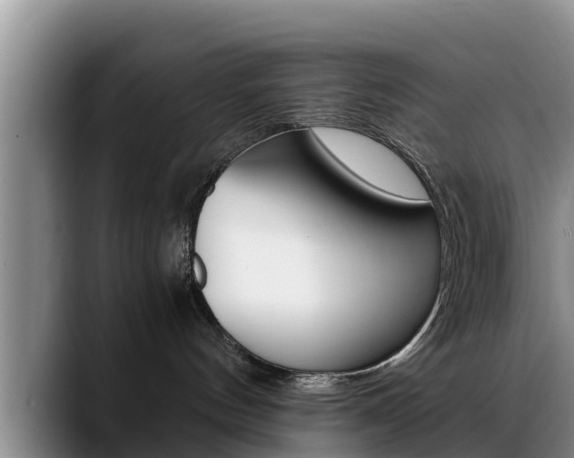 X0000089430144200706151029