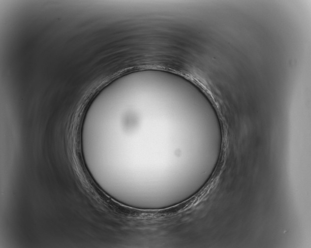 X0000089430145200706151028