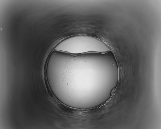 X0000089430147200706151028