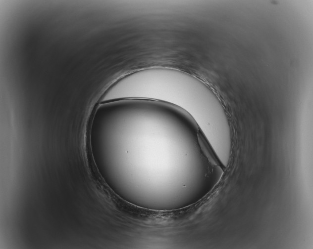 X0000089430148200706151028