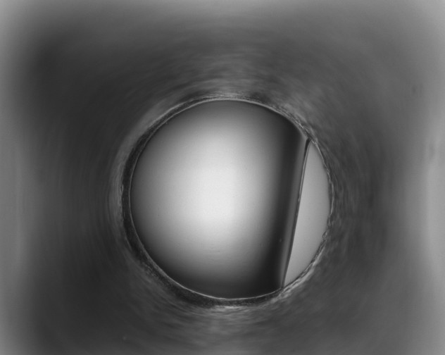 X0000089430150200706151028