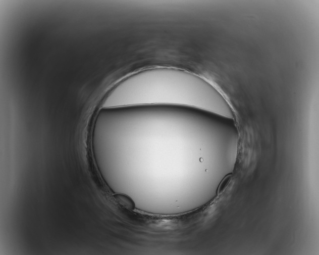 X0000089430151200706151028