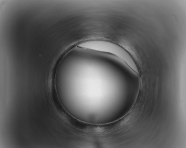 X0000089430156200706151028