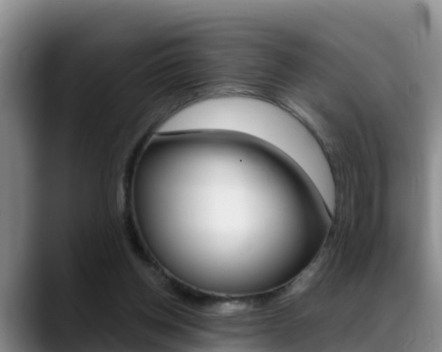 X0000089430158200706151028