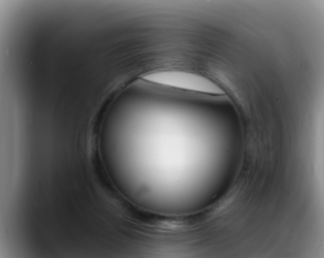 X0000089430164200706151028