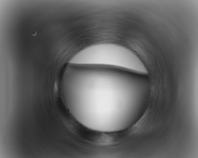 X0000089430166200706151028