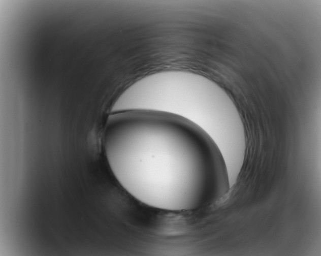 X0000089430180200706151028