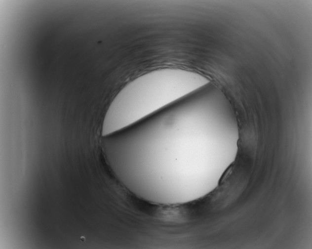 X0000089430181200706151028