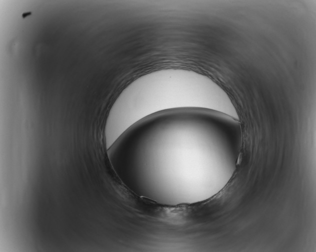 X0000089430188200706151029