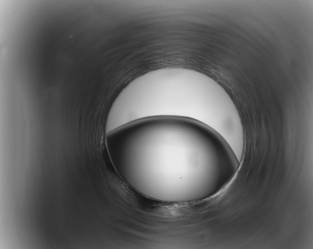 X0000089430190200706151029