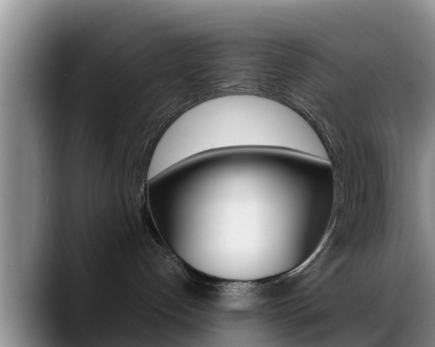 X0000089430192200706151029
