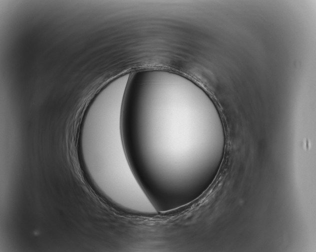 X0000089430193200706151028