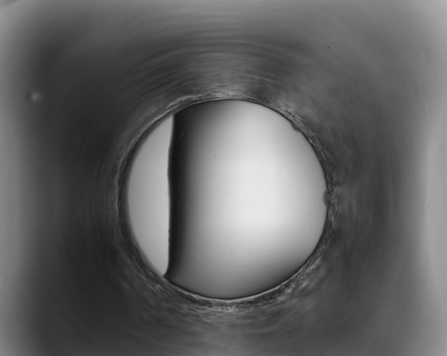 X0000089430194200706151028