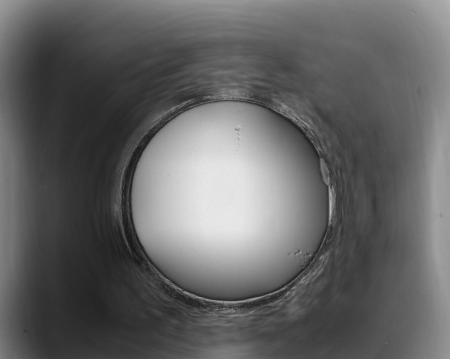 X0000089430195200706151028