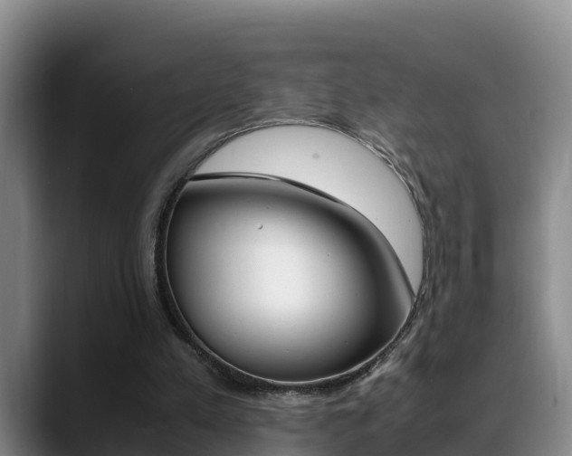 X0000089430197200706151028