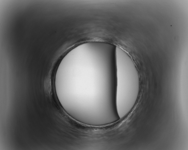 X0000089430198200706151028