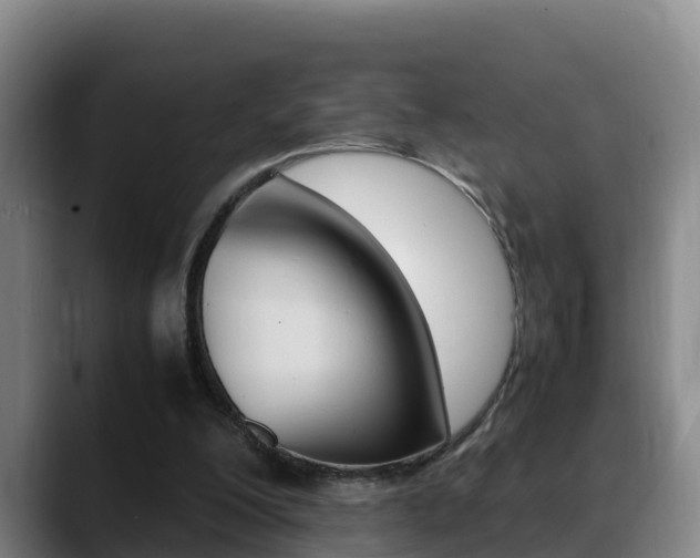 X0000089430200200706151028