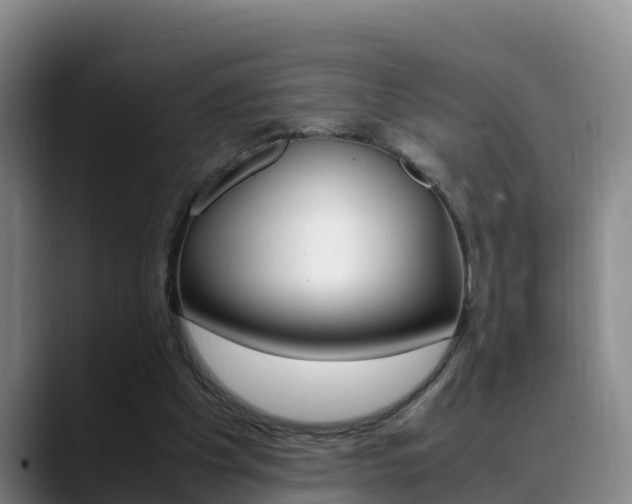 X0000089430201200706151028