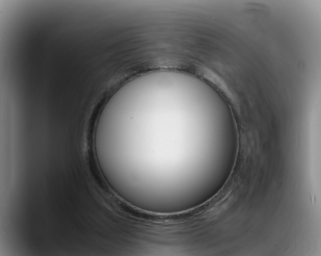 X0000089430203200706151028