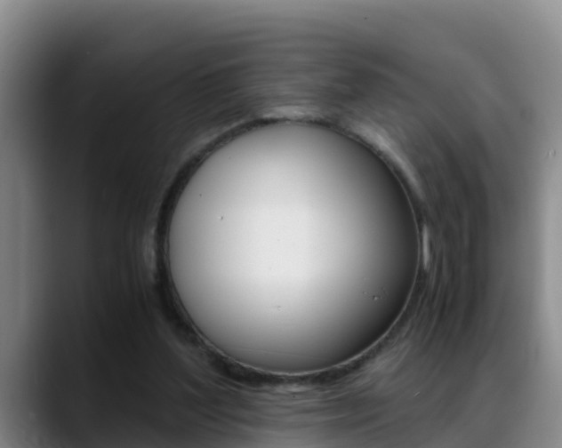 X0000089430204200706151028