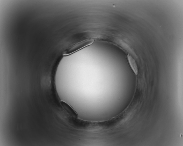 X0000089430207200706151028