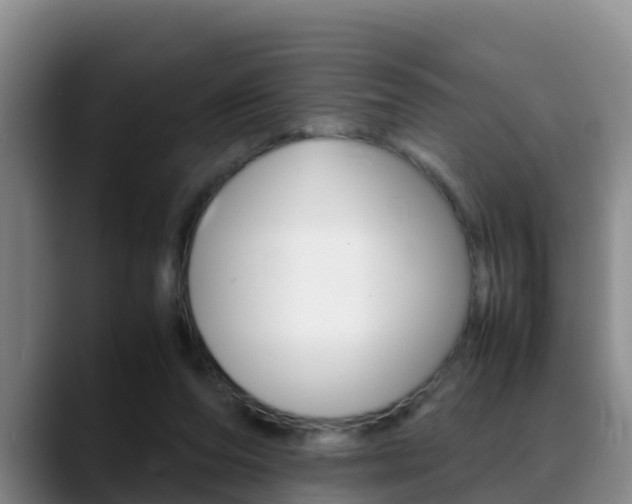 X0000089430208200706151028