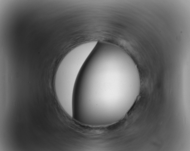 X0000089430209200706151028