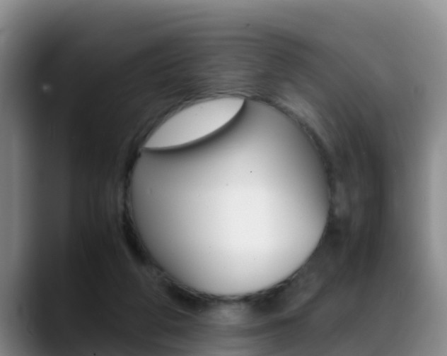 X0000089430210200706151028