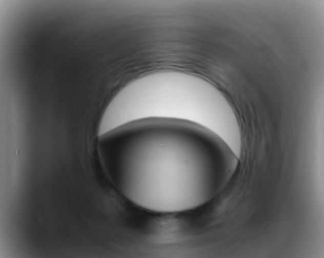 X0000089430219200706151028