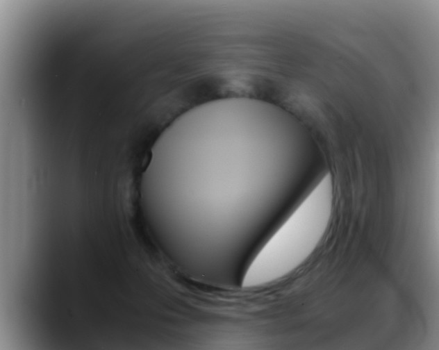 X0000089430223200706151028