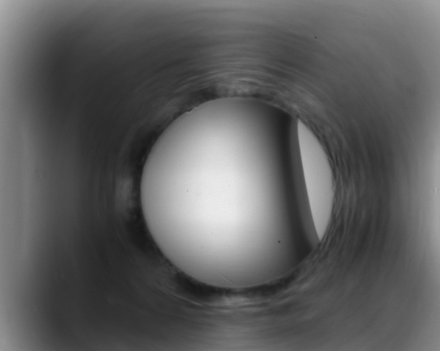 X0000089430224200706151028