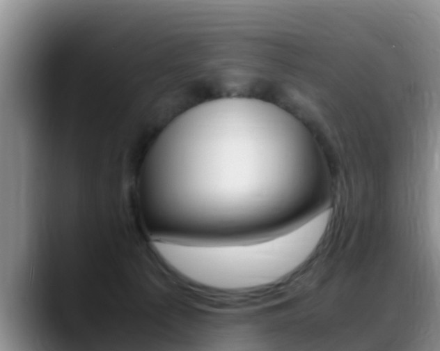 X0000089430225200706151028