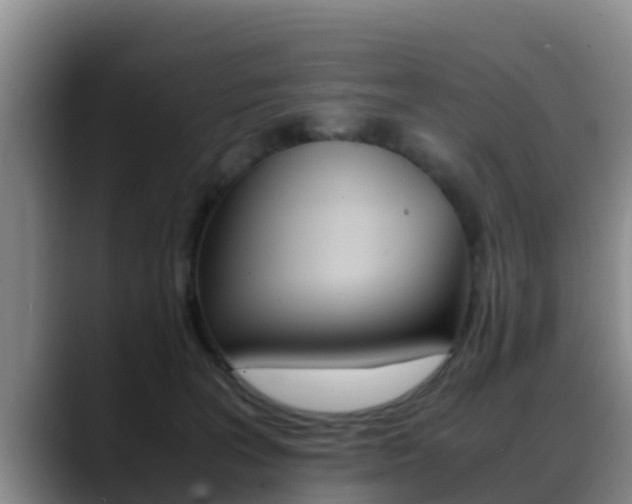 X0000089430227200706151028