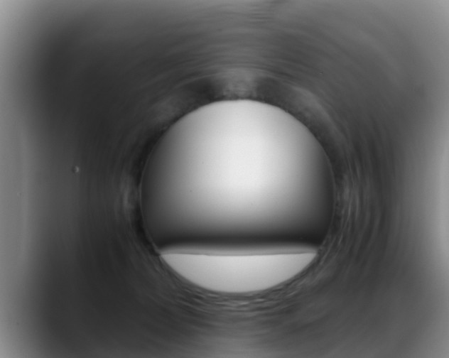 X0000089430228200706151028