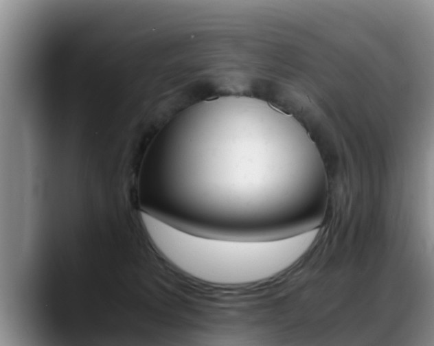 X0000089430229200706151028