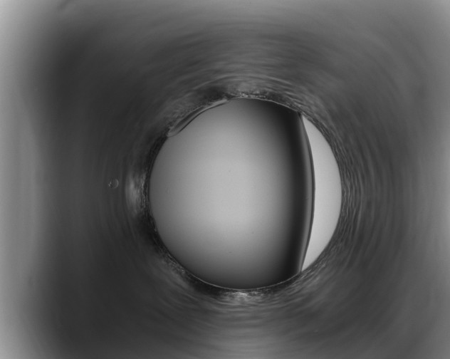 X0000089430239200706151028