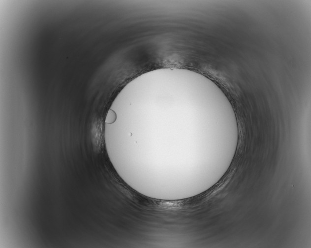 X0000089430240200706151027