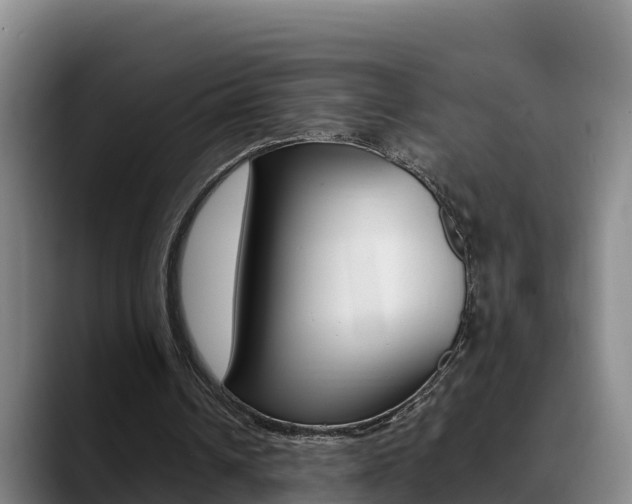 X0000089430242200706151027