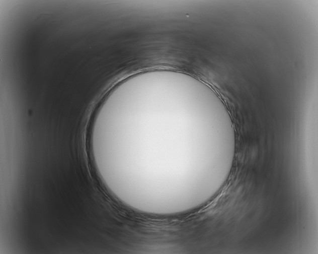X0000089430244200706151027