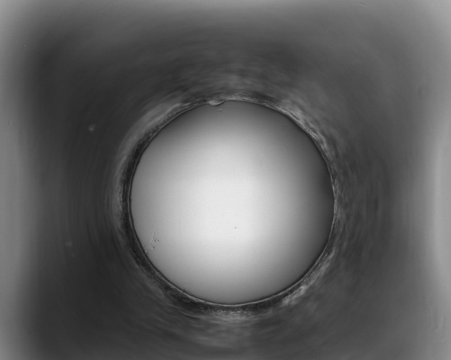 X0000089430245200706151027