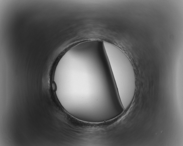 X0000089430246200706151027