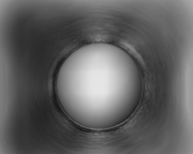 X0000089430250200706151027
