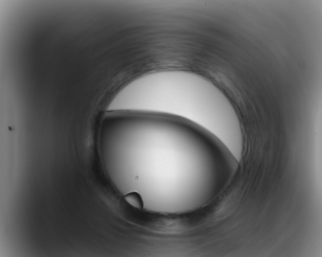 X0000089430260200706151027