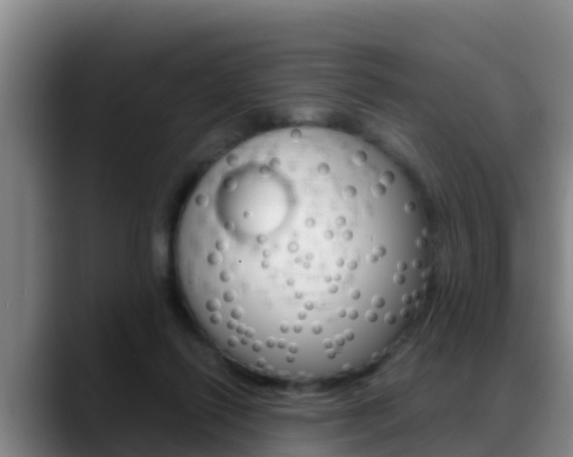 X0000089430262200706151027