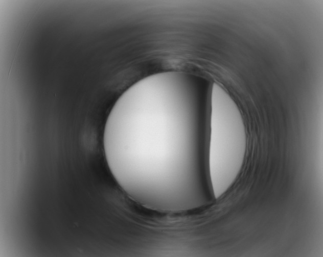X0000089430270200706151027