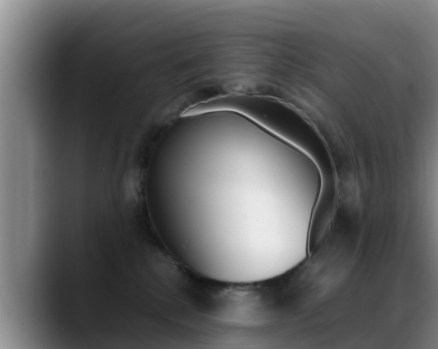 X0000089430280200706151027