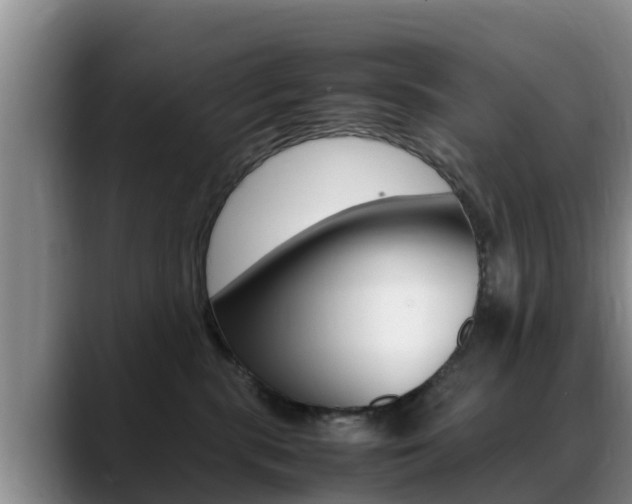 X0000089430283200706151027